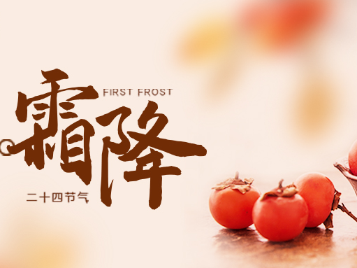 20241022053546522